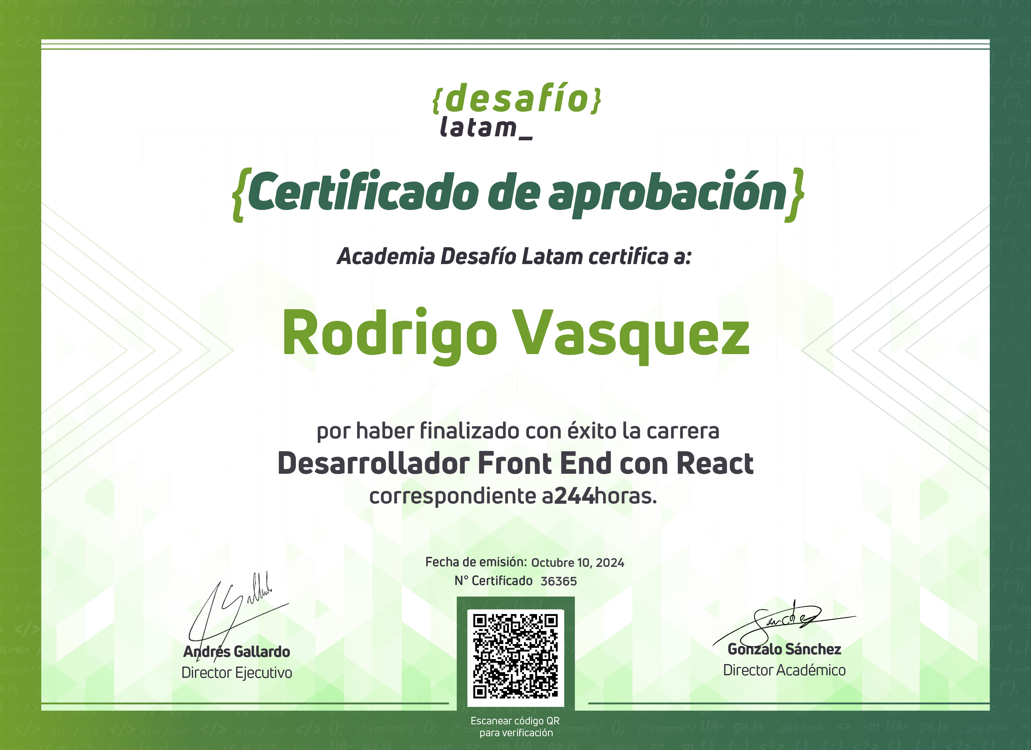 Rodrigo Vasquez Cespedes - Desarrollador full stack javascript | LinkedIn